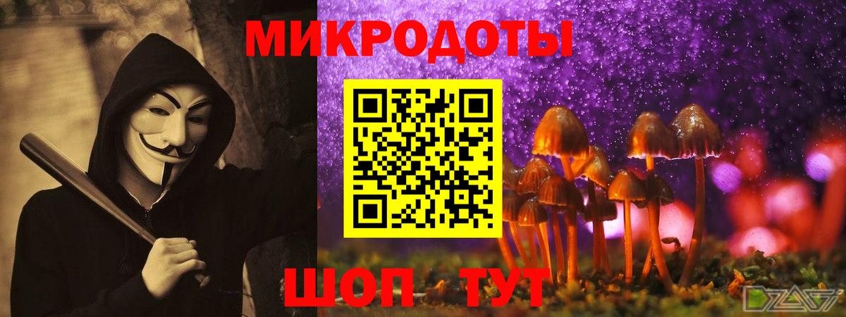 Галлюциногенные грибы MAGIC MUSHROOMS  Вход с VPN  Кувандык  Псилоцибиновые грибы Psilocybine cubensis 