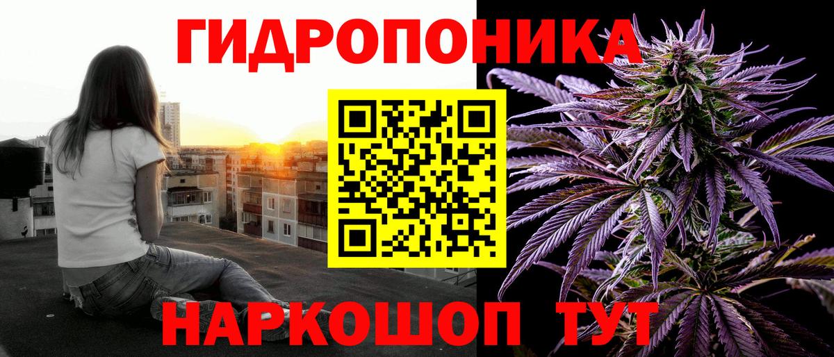 Каннабис индика  Вход с VPN  Кувандык  МАРИХУАНА марихуана  Бошки марихуана конопля  Каннабис Amnesia 